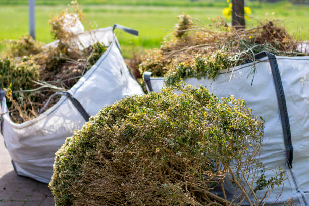 Best Construction Debris Removal  in Wailea, HI